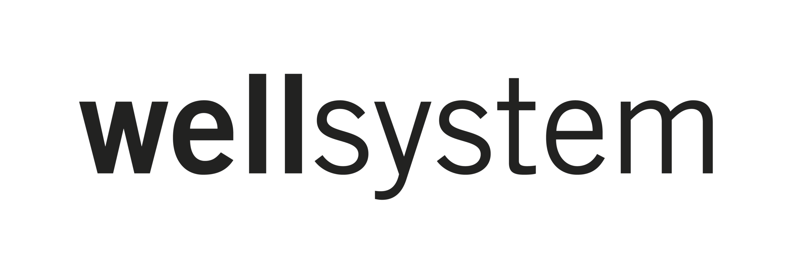 wellsystem